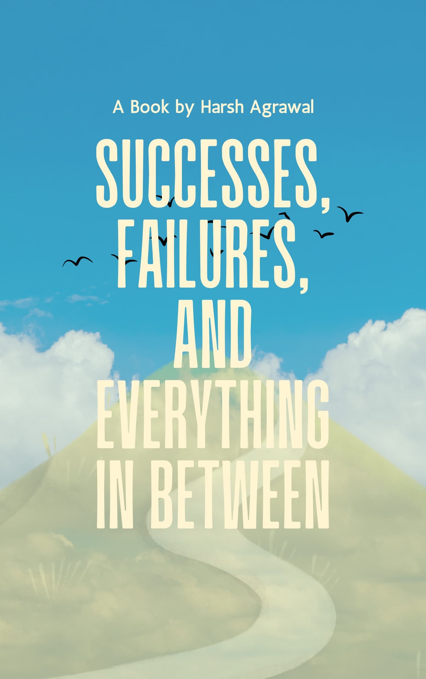 Successes, Failures, and Everything in Between